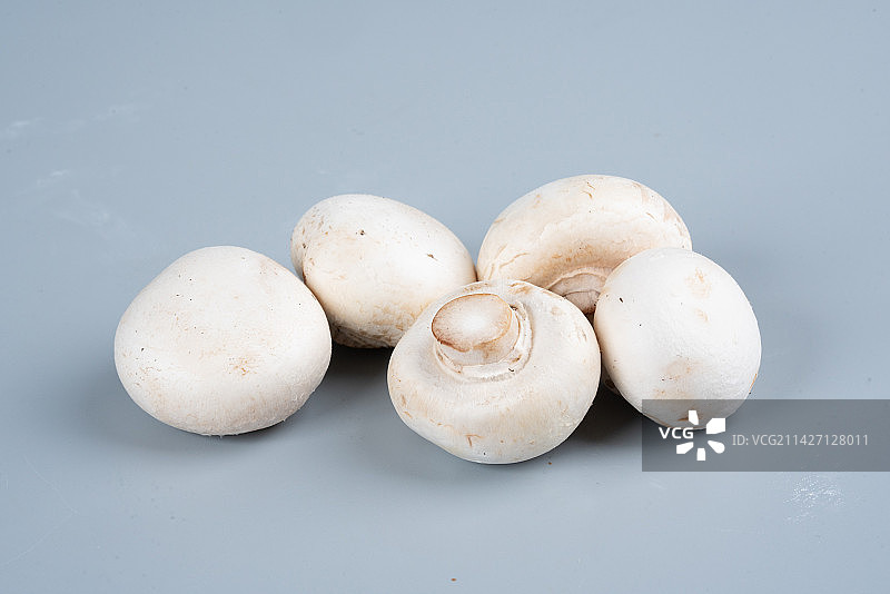 白蘑菇口蘑蘑菇图片素材