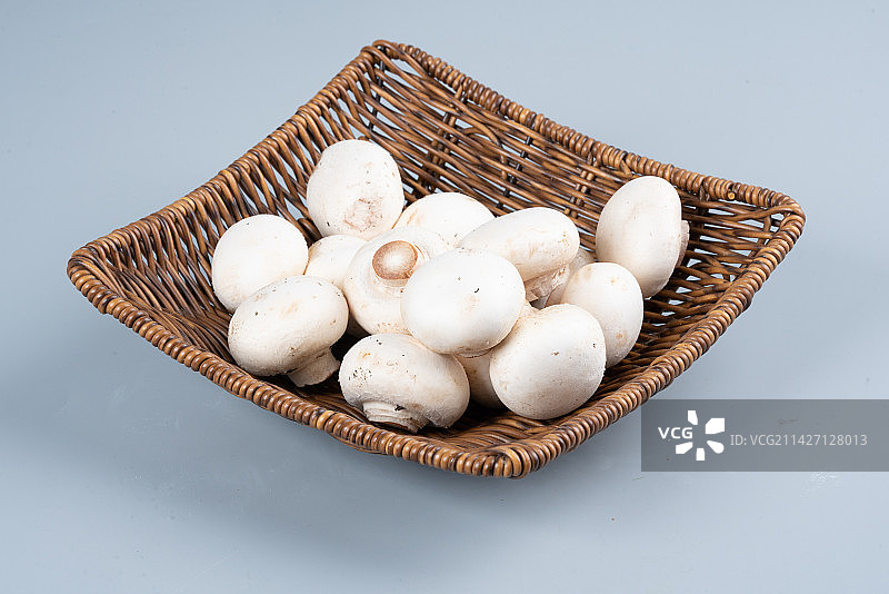 白蘑菇口蘑蘑菇图片素材