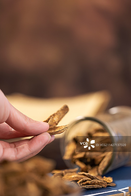 手拿中药材牛蒡图片素材