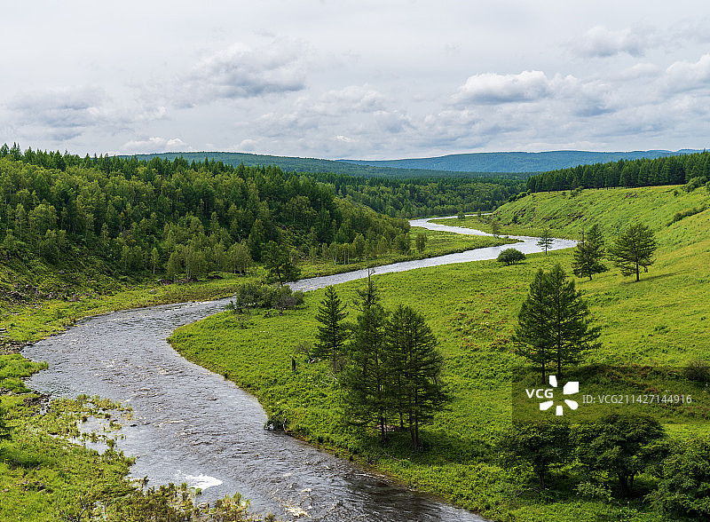 内蒙古阿尔山国家森林公园不冻河哈拉哈河针叶林图片素材