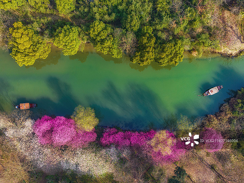 航拍春日西溪湿地游船图片素材