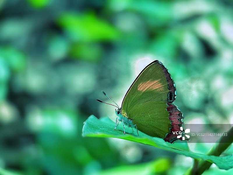 不想打扰图片素材