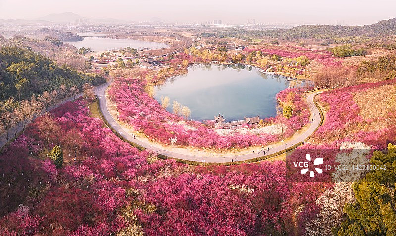 张家港香山梅嶺图片素材