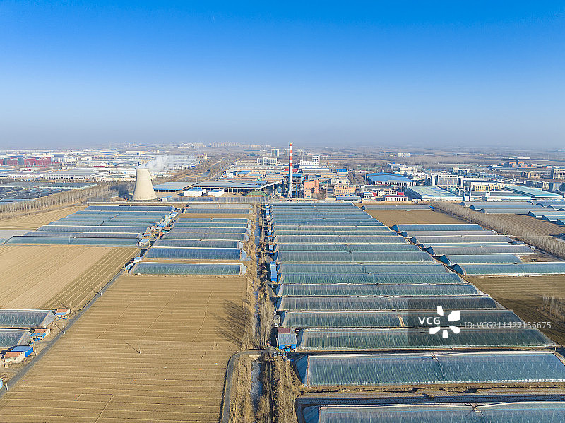 山东济南商河蔬菜大棚航拍图片素材