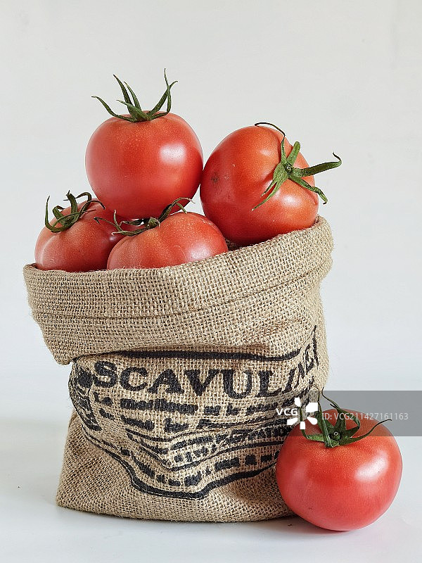 西红柿图片素材