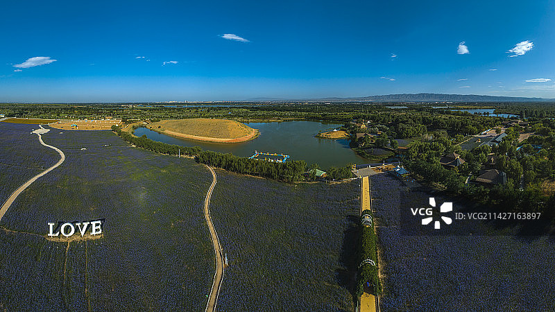 宁夏中卫腾格里湖金沙岛花海图片素材