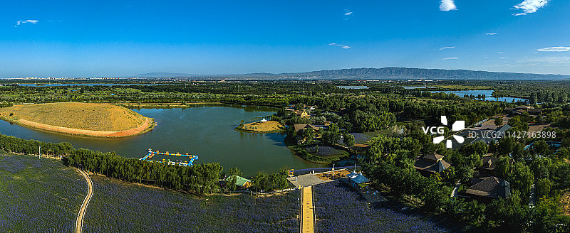 宁夏中卫腾格里湖金沙岛花海图片素材