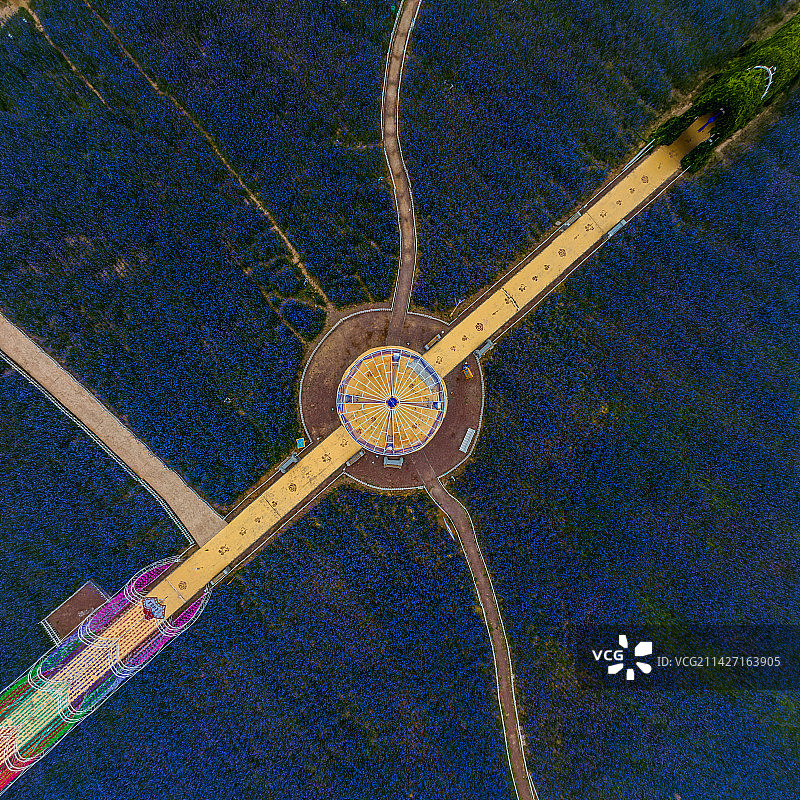 宁夏中卫腾格里湖金沙岛花海图片素材