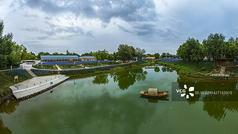 宁夏中卫腾格里湖金沙岛花海图片素材