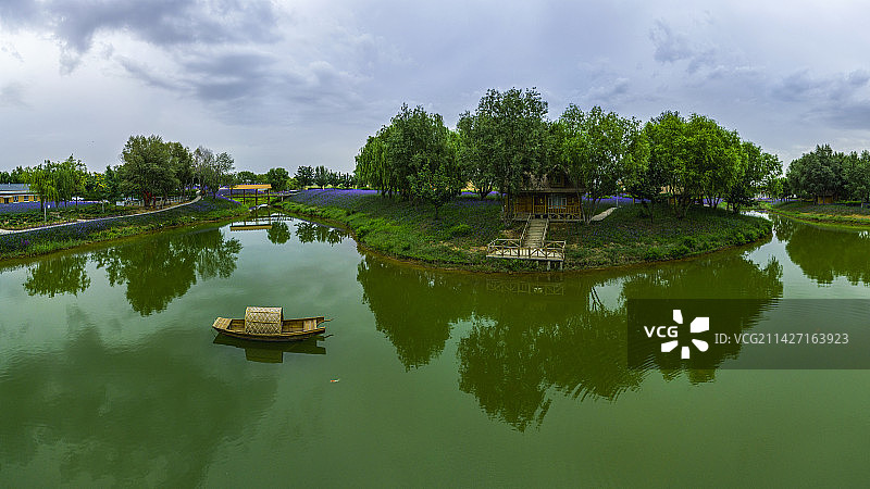 宁夏中卫腾格里湖金沙岛花海图片素材