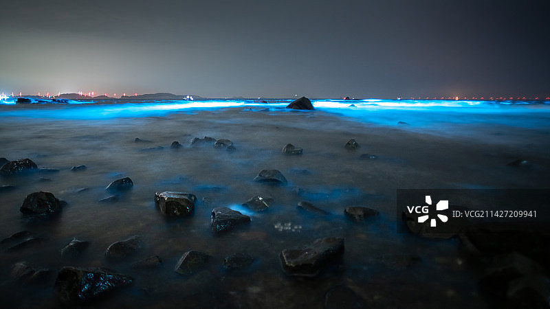 福建平潭蓝眼泪夜景图片素材