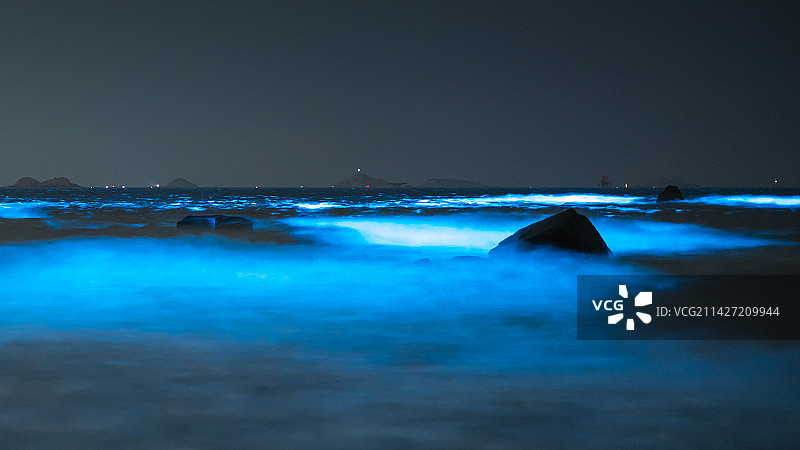 福建平潭蓝眼泪夜景图片素材