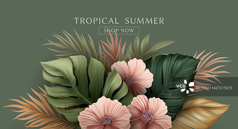 夏季热带棕榈叶设计图片素材