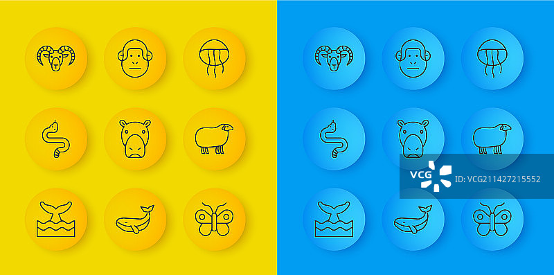 鲸鱼尾巴、蛇和河马图片素材