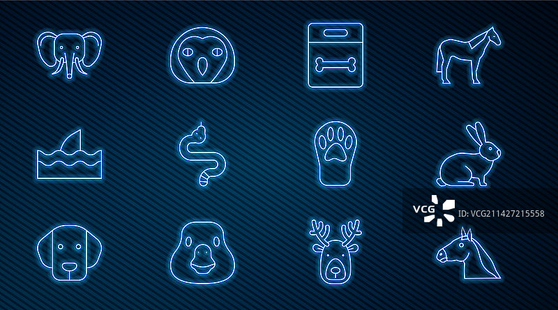 马头、兔子、狗骨头、蛇图片素材