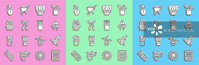 装满热带植物种子的包装图片素材