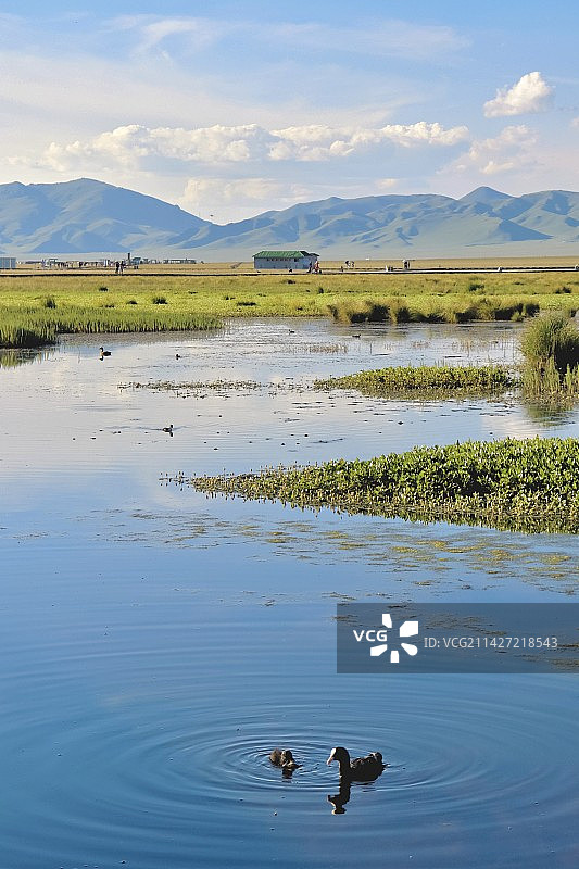 大自然与图片素材