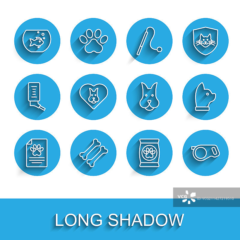 宠物狗骨头临床医疗记录图片素材