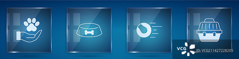 手、动物足迹、宠物食品碗套装图片素材