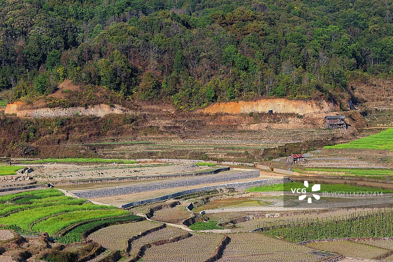 农业领域的高角度视角图片素材