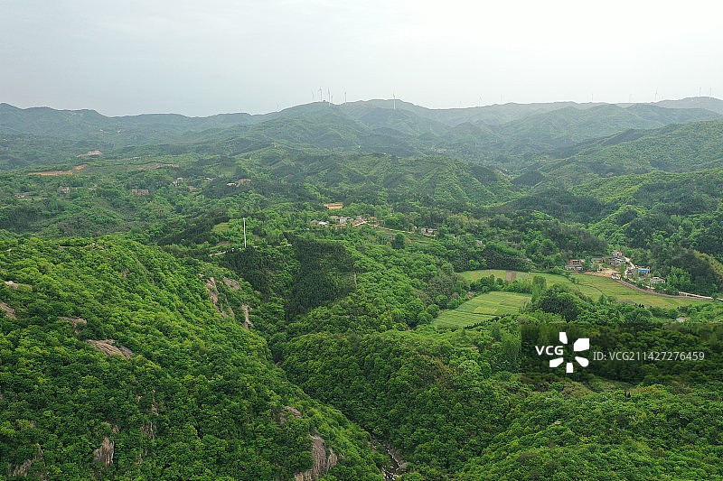 绿意盎然的大别山图片素材