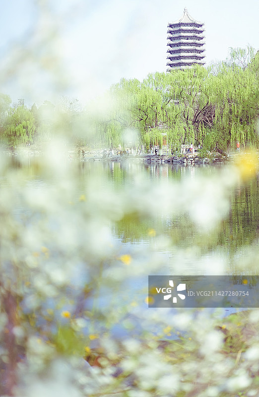 春日花影中的北大博雅塔和未名湖图片素材