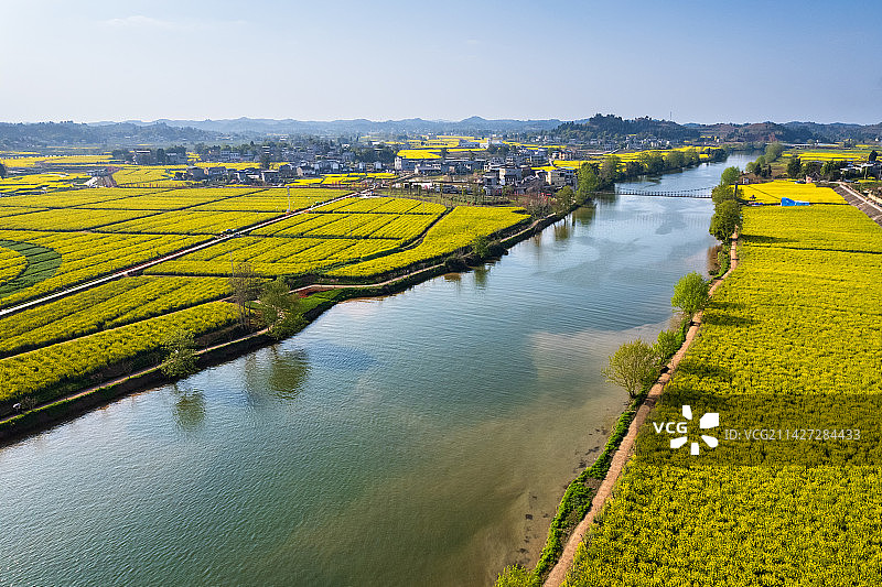 重庆潼南油菜花田与河流图片素材