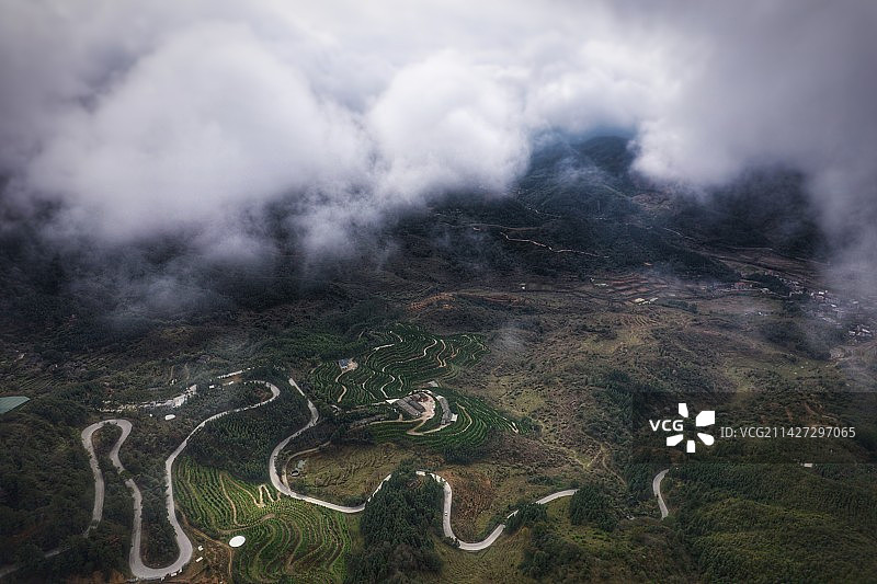 航拍森林林木树木林场图片素材