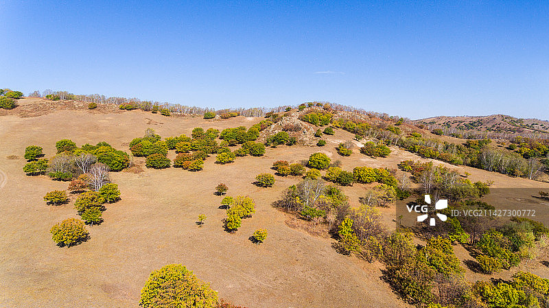 乌兰布统稀树草原图片素材