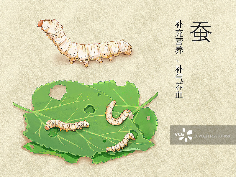 手绘水彩昆虫蚕吃桑叶插画图片素材