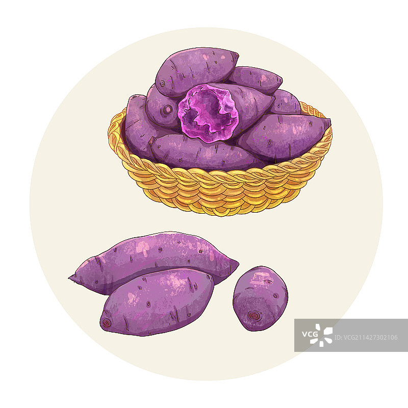 手绘水彩农产品紫薯插画图片素材