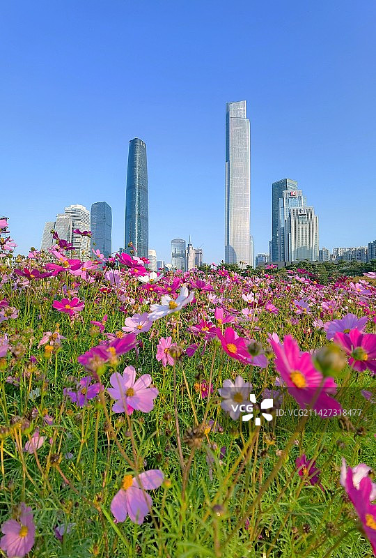 花城·天际线图片素材
