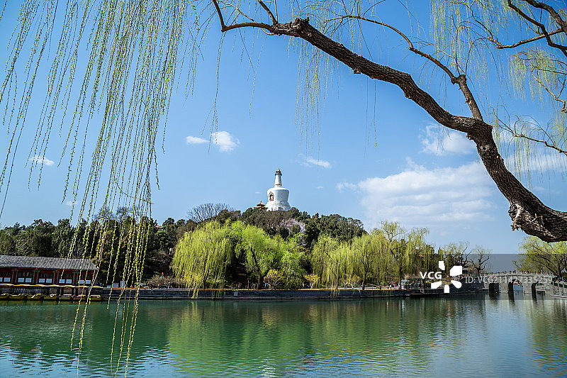 北海公园的春天白塔绿柳图片素材