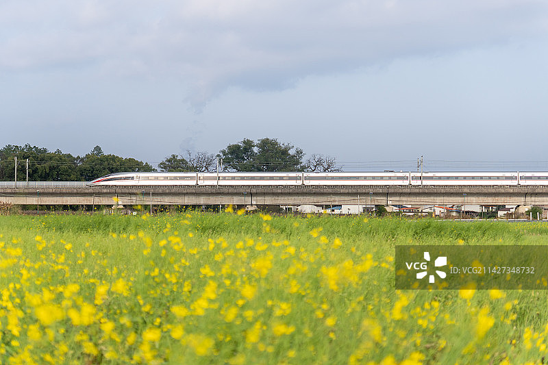 开往春天的高铁图片素材