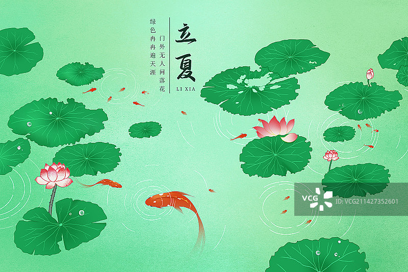 春天夏天下雨时荷塘里出水的锦鲤插画海报模版图片素材