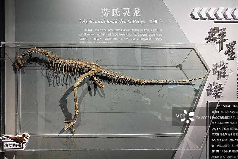 自贡恐龙博物馆化石图片素材