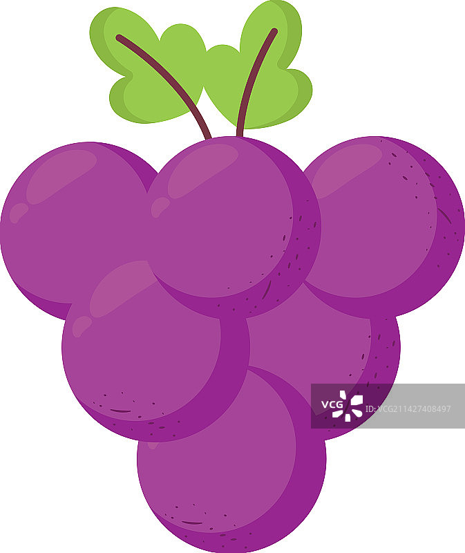 紫色葡萄设计图片素材