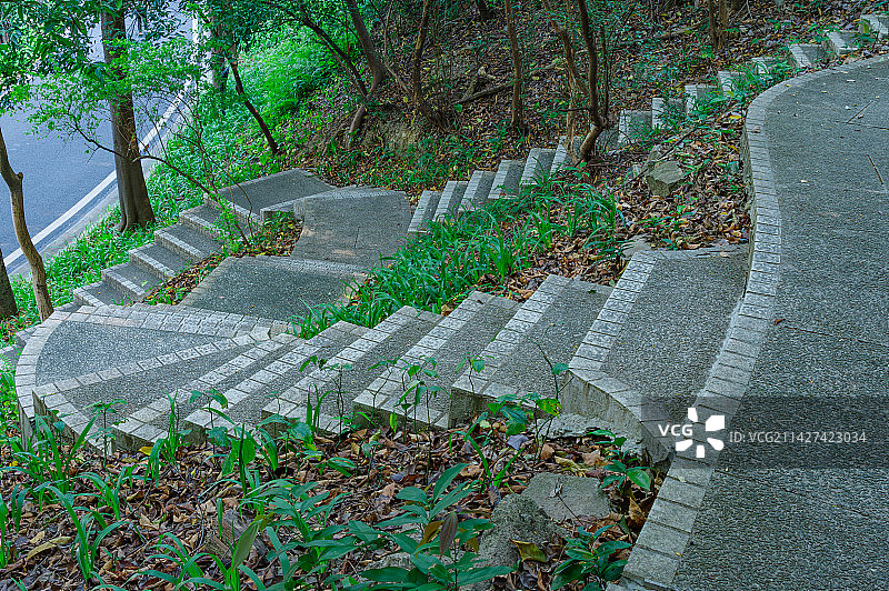 广州雕塑公园林荫山路休闲步道图片素材