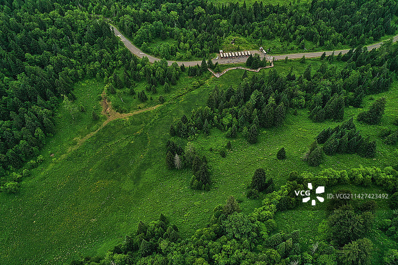 长白山的高山草甸图片素材