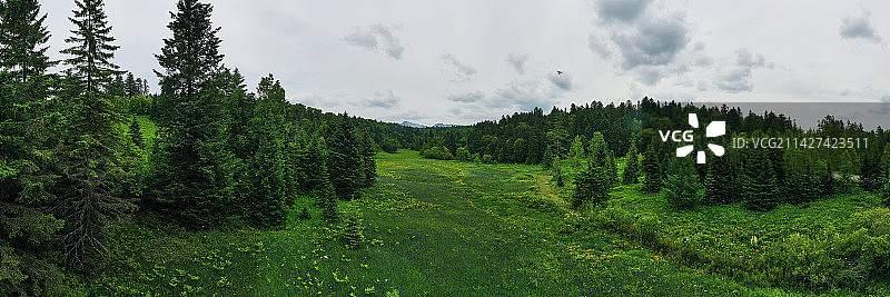 长白山的高山草甸图片素材