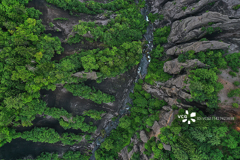 原始森林中的大峡谷图片素材