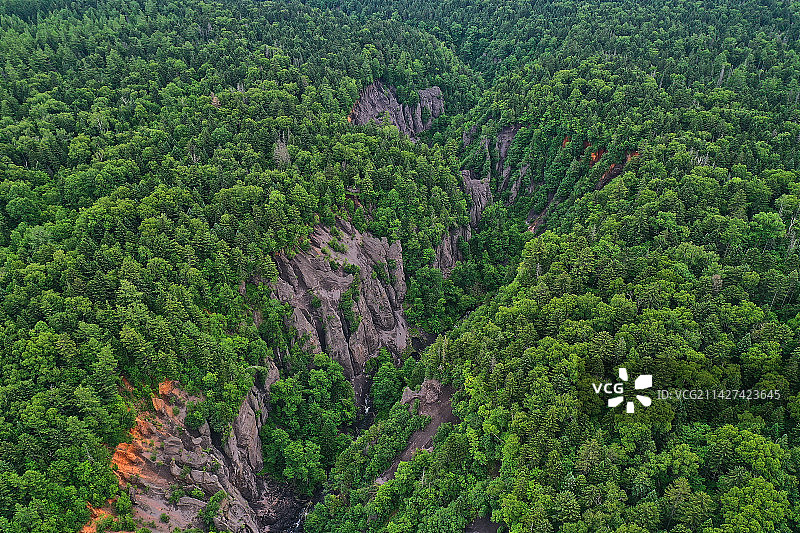 原始森林中的大峡谷图片素材