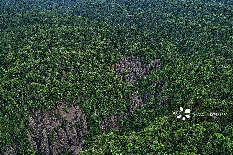 原始森林中的大峡谷图片素材
