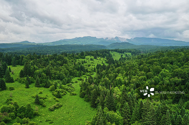 长白山的高山草甸图片素材