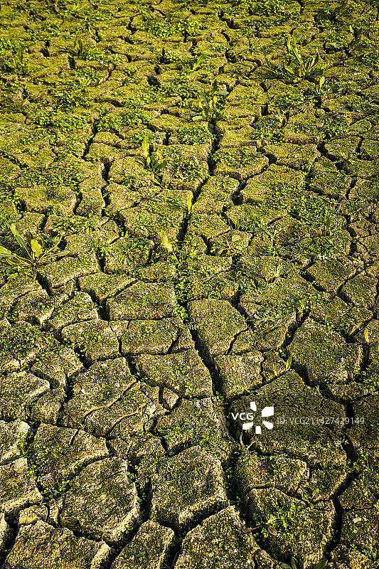 干裂的河床图片素材