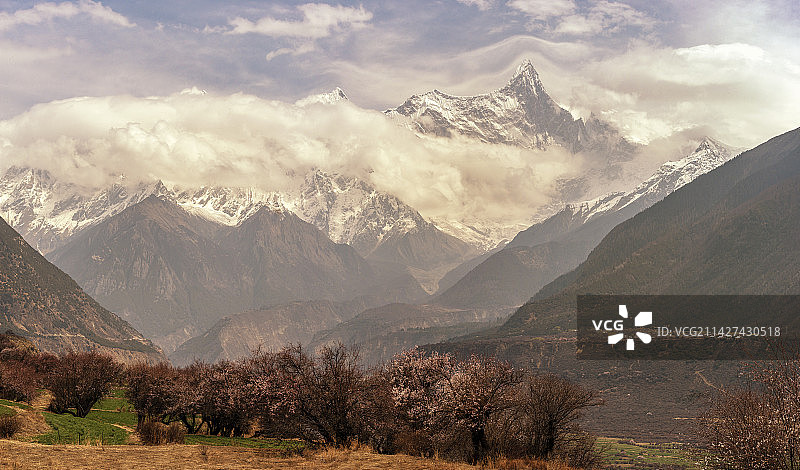 雅鲁藏布桃花季图片素材