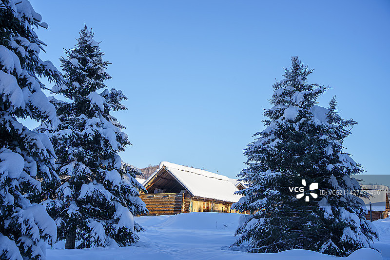 新疆阿勒泰禾木村冬日森林里的小木屋图片素材