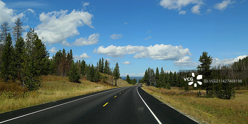 6L5A8065穿越稀疏矮松林的公路图片素材