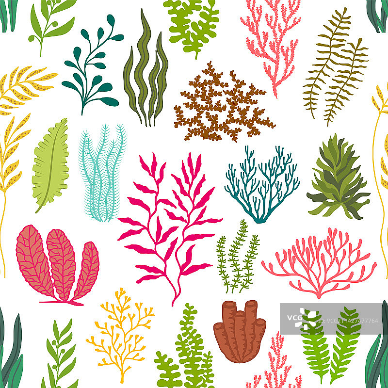 水下海藻植物无缝图案图片素材
