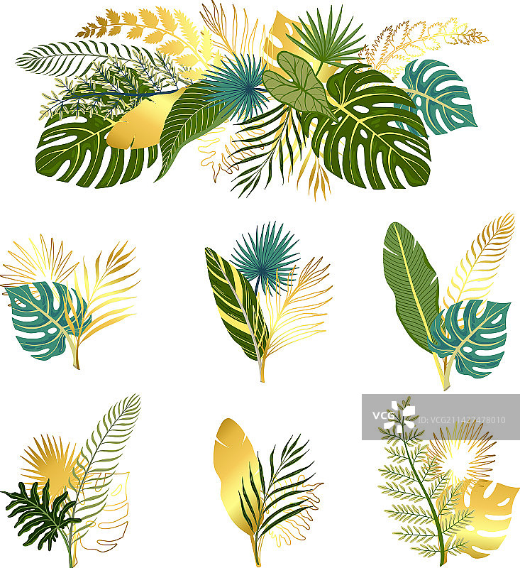 热带叶子合集图片素材